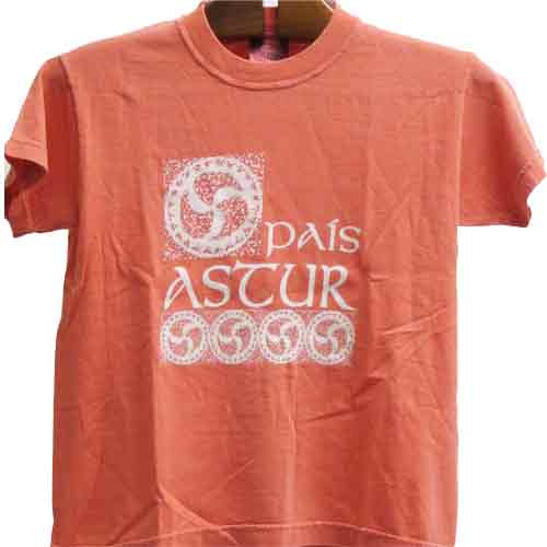  Imagen camiseta niño país astur  salmón degradado 