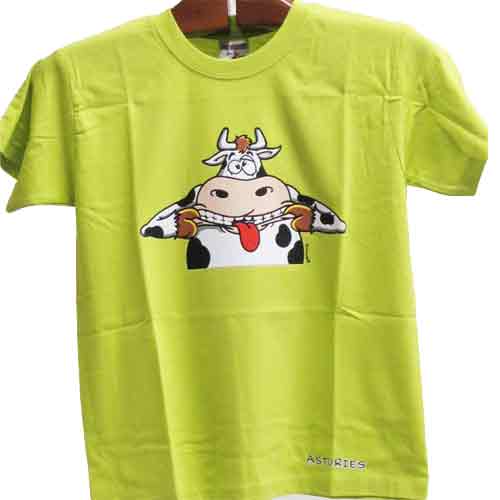 Camiseta recuerdo Asturias niño niña