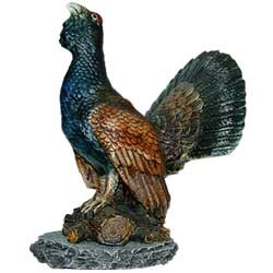 figura Urogallo