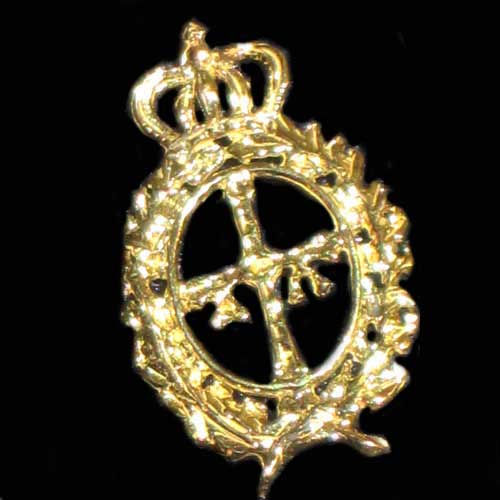 Imagen pin escudo Asturias laureado oro