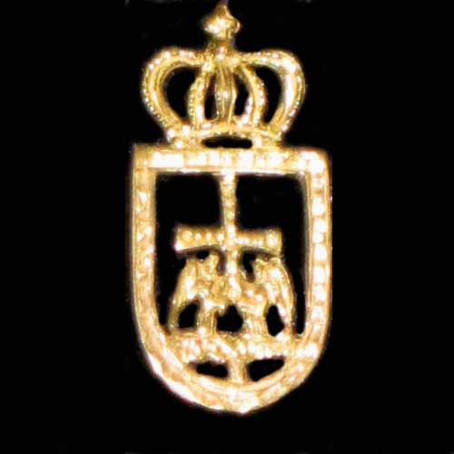 Imagen pin escudo de Oviedo oro