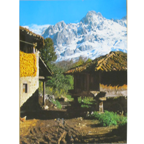 Imagen fotoposter 45 x 31 Soto de Valdeón