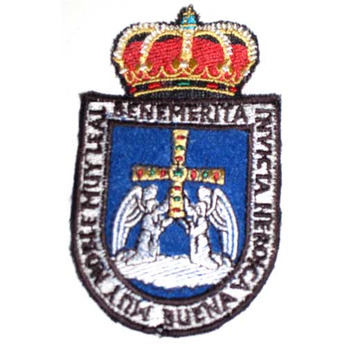 parche tela bordado escudo Oviedo