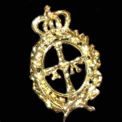  Pin escudo Asturias laureado
