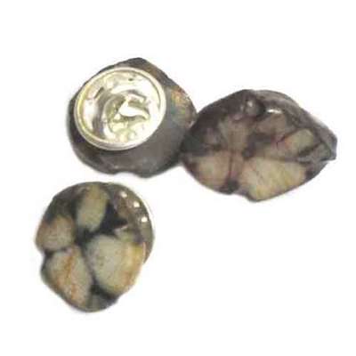 Pins plata y quiastolita Pins plata y quiastolita