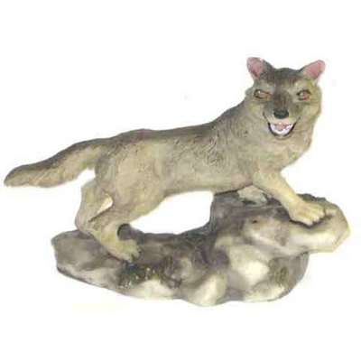  Lobo 