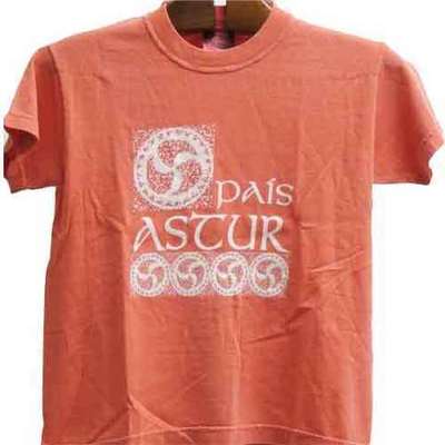  Pais astur - salmon degradado - niño 