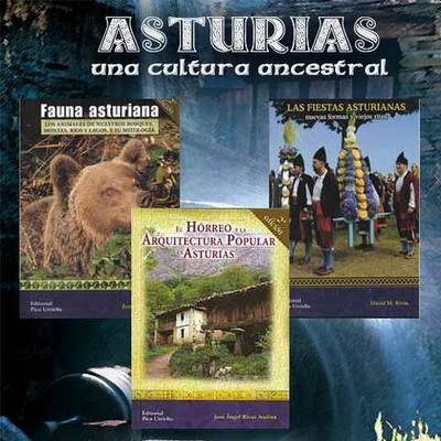 Libros de Asturias. Una cultura ancestral