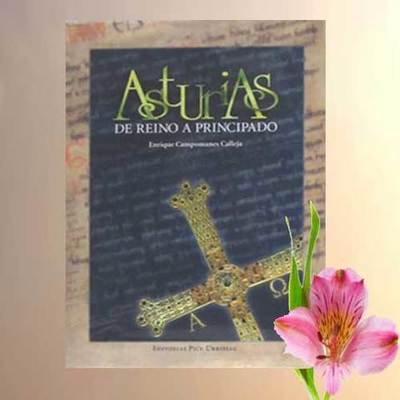 Asturias de Reino a Principado