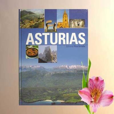Asturias formato grande en español