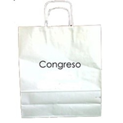Bolsa de Cartón