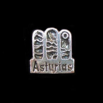 Pin plata Asturias Paraíso Natural pequeño