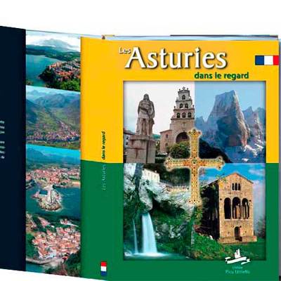 Libro Asturias Francés en la mirada