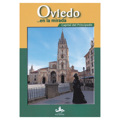 Oviedo en la mirada