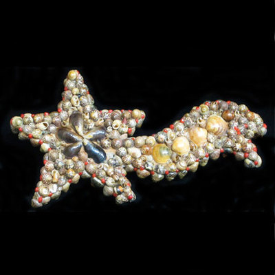  Estrella de conchas 