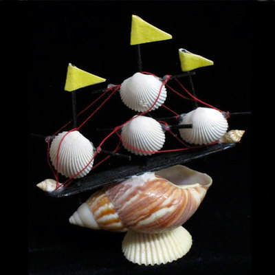  Barco conchas pequeño 