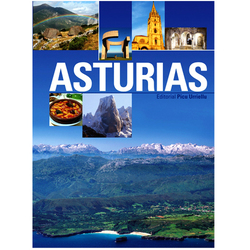 Libro Asturias en español formato grande