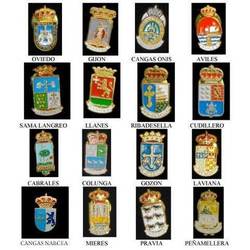 Pins Escudo de concejos asturianos