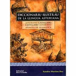 Libro Diccionario Illustrao