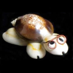  Tortuga pequeñas 