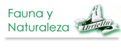 Fauna y naturaleza